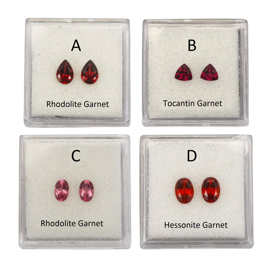 Matching Pairs in Garnet