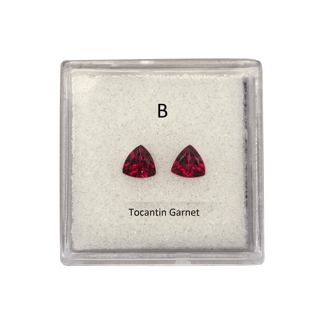 Matching Pairs in Garnet