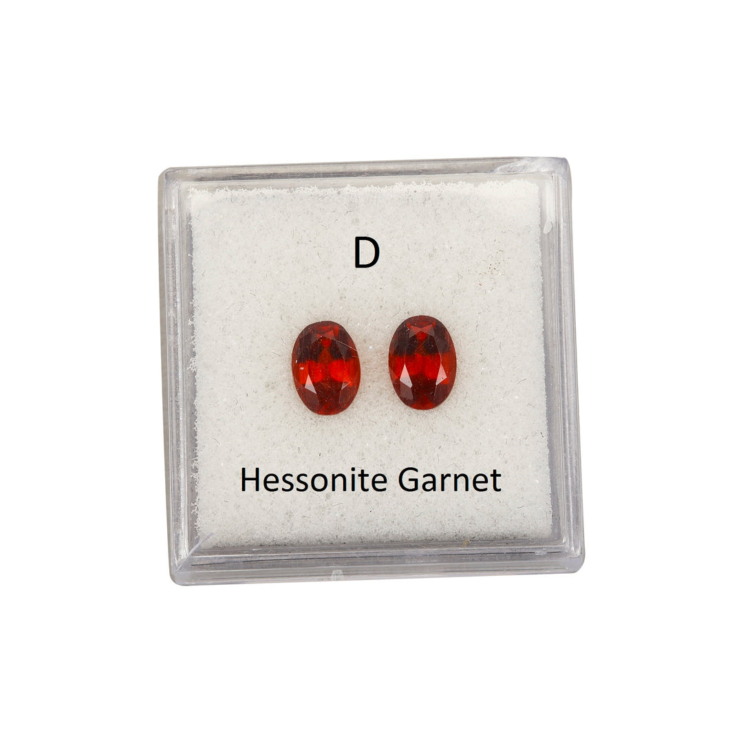 Matching Pairs in Garnet