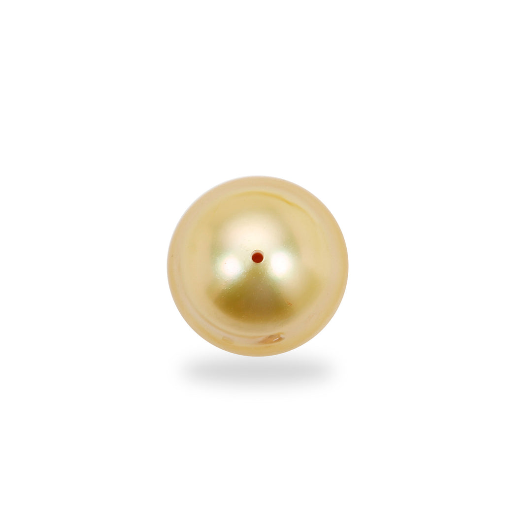 Golden South Sea Pearl Full Drilled 12mm-13mm 14.50 Carats